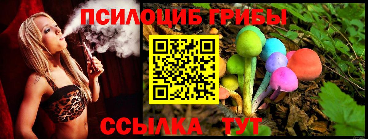Жуковский  Галлюциногенные грибы ЛСД  Вход с VPN  Псилоцибиновые грибы GOLDEN TEACHER 