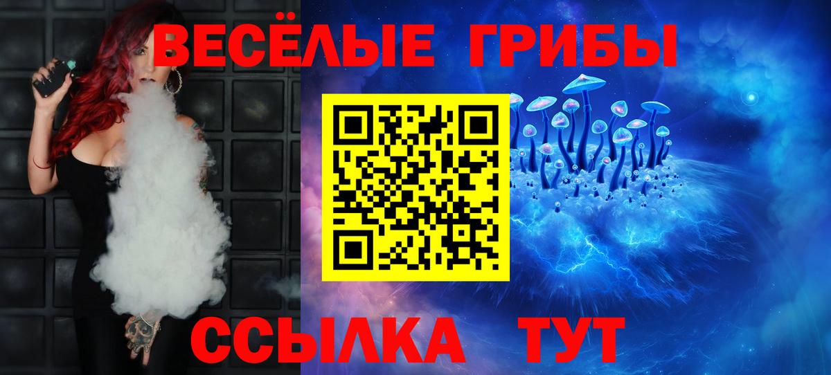Псилоцибиновые грибы мицелий Жуковский